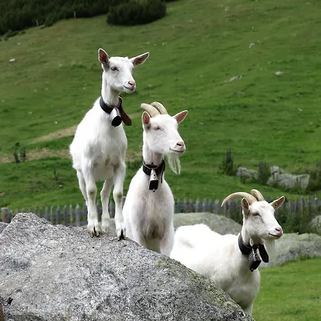 Hotel Alpengasthof Norbertshoehe Superior