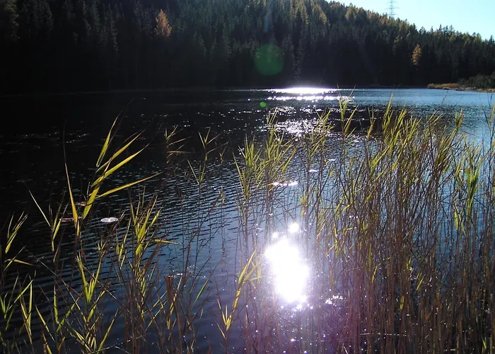 Отель Alpengasthof Norbertshoehe Superior Наудерс