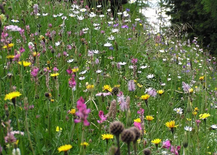 Отель Alpengasthof Norbertshoehe Superior