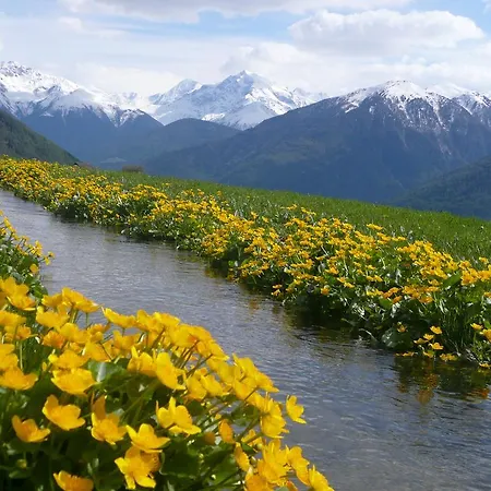 Hotel Alpengasthof Norbertshohe 3*