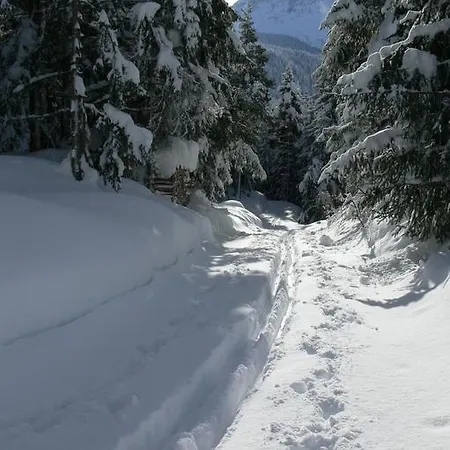 Hotel Alpengasthof Norbertshohe