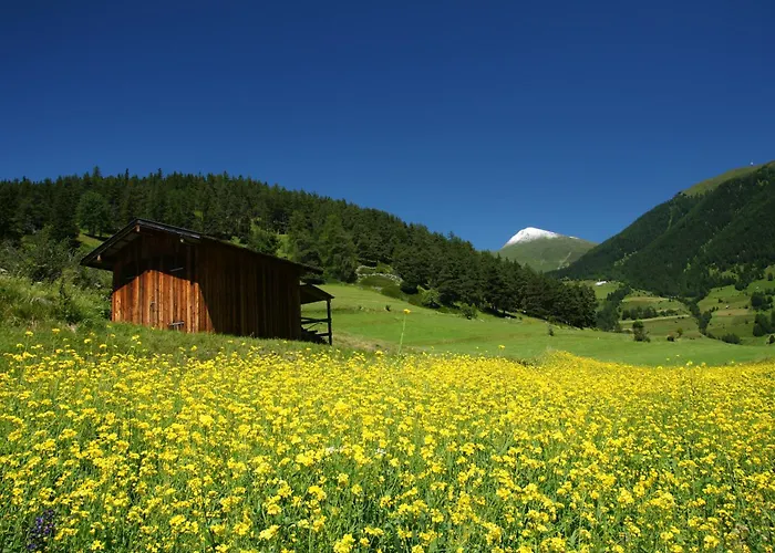 Alpengasthof Norbertshoehe Superior Otel 3*