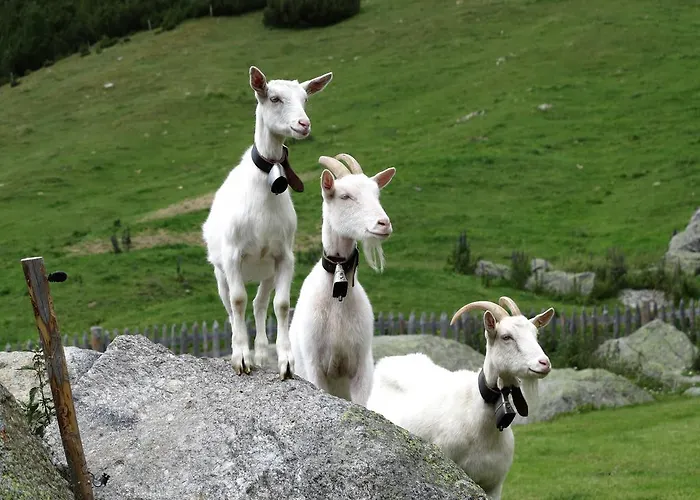 Otel Alpengasthof Norbertshoehe Superior