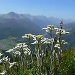 Отель Alpengasthof Norbertshoehe Superior Наудерс